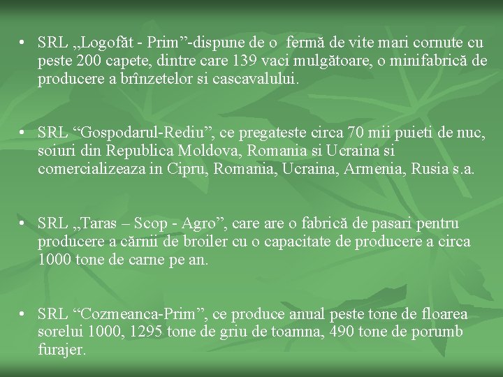  • SRL „Logofăt - Prim”-dispune de o fermă de vite mari cornute cu