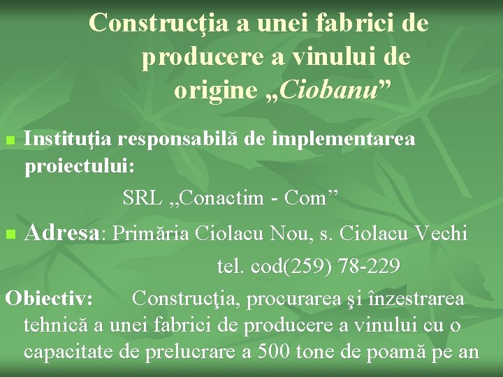 Construcţia a unei fabrici de producere a vinului de origine „Ciobanu” n n Instituţia