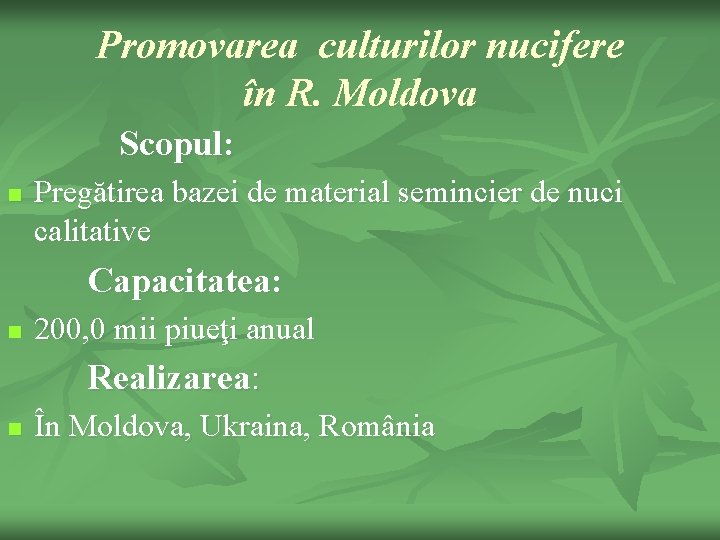 Promovarea culturilor nucifere în R. Moldova Scopul: n Pregătirea bazei de material semincier de