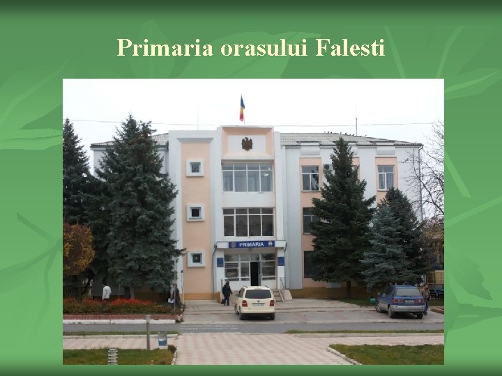 Primaria orasului Falesti 