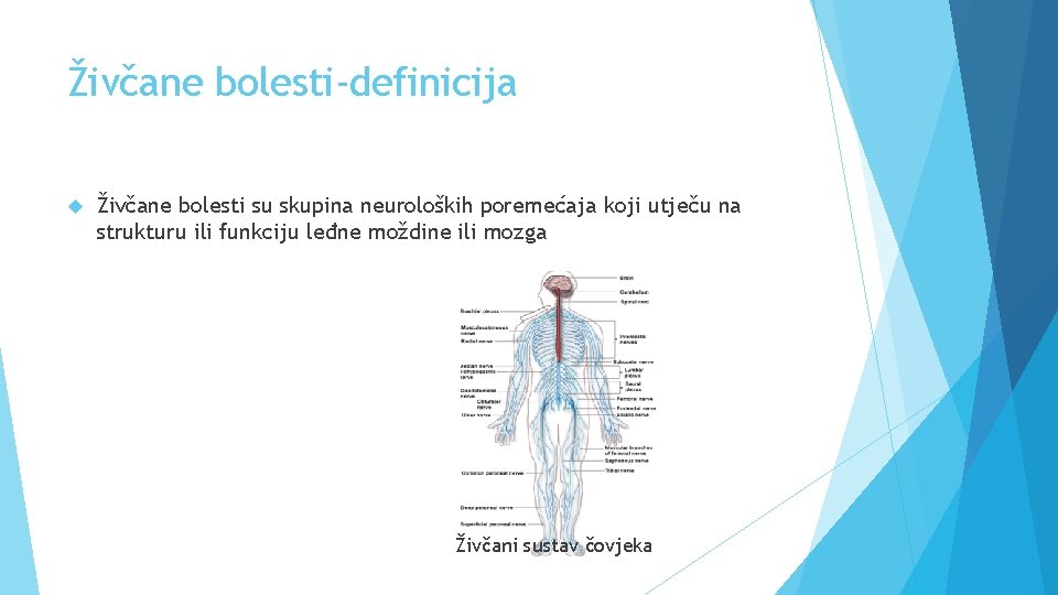 Živčane bolesti-definicija Živčane bolesti su skupina neuroloških poremećaja koji utječu na strukturu ili funkciju