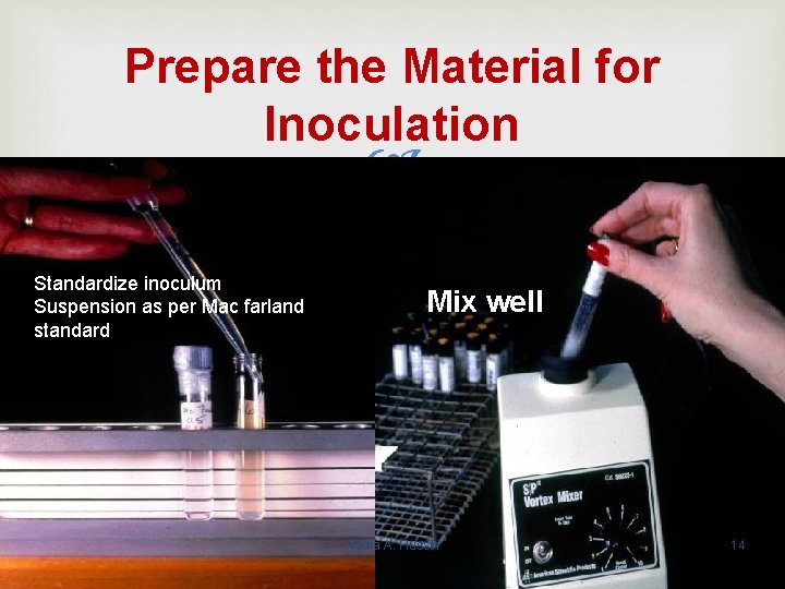 Prepare the Material for Inoculation Standardize inoculum Suspension as per Mac farland standard Mix