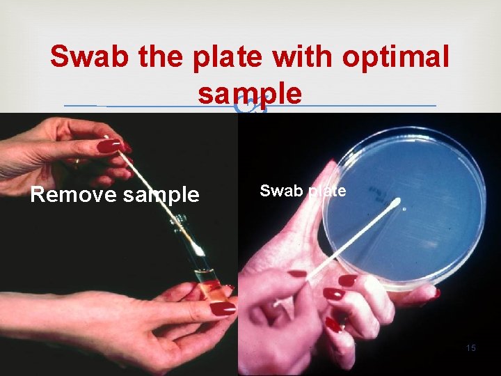 Swab the plate with optimal sample Remove sample Swab plate 15 