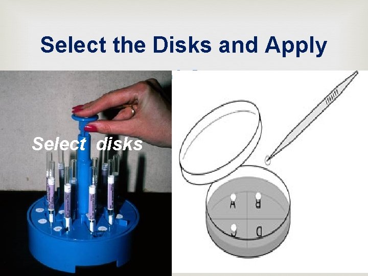 Select the Disks and Apply Select disks 16 