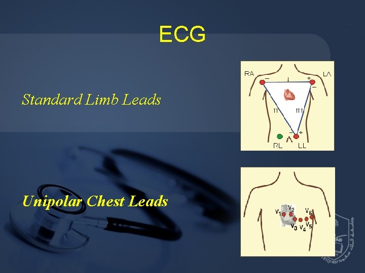ECG Standard Limb Leads Unipolar Chest Leads 
