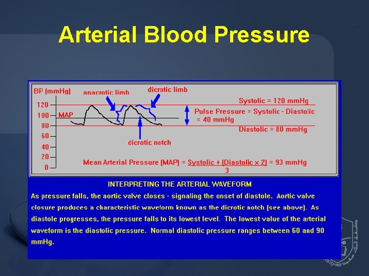 Arterial Blood Pressure 