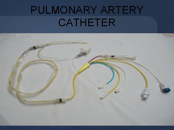 PULMONARY ARTERY CATHETER 