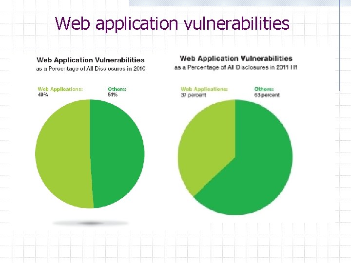 Web application vulnerabilities 