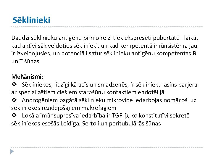 Sēklinieki Daudzi sēklinieku antigēnu pirmo reizi tiek ekspresēti pubertātē –laikā, kad aktīvi sāk veidoties