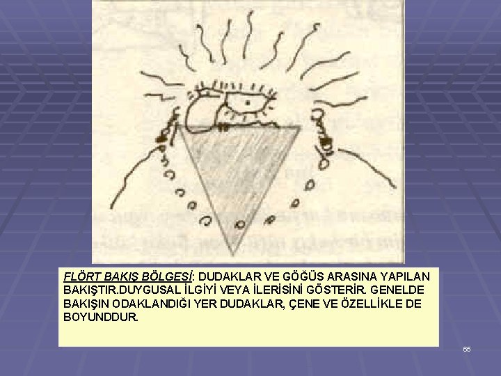 FLÖRT BAKIŞ BÖLGESİ: DUDAKLAR VE GÖĞÜS ARASINA YAPILAN BAKIŞTIR. DUYGUSAL İLGİYİ VEYA İLERİSİNİ GÖSTERİR.