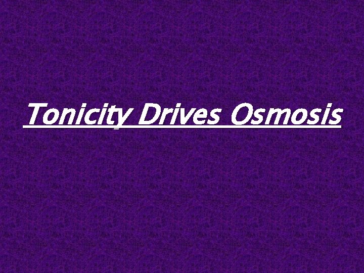 Tonicity Drives Osmosis 