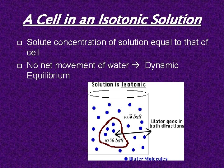 A Cell in an Isotonic Solution Solute concentration of solution equal to that of