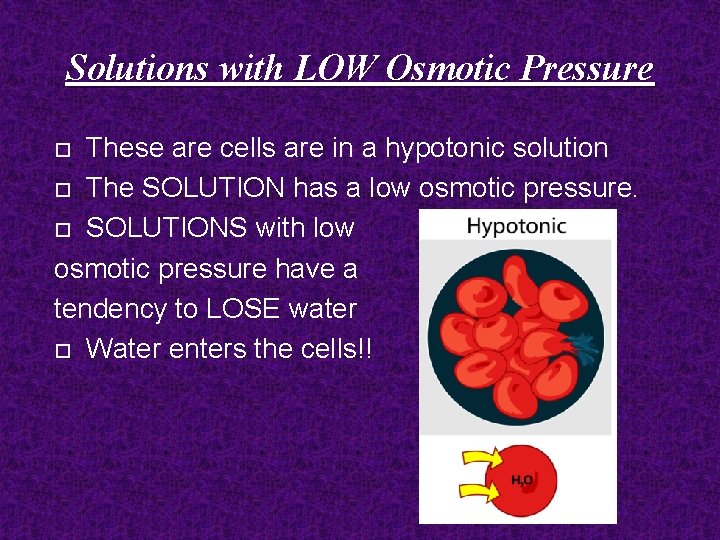 Solutions with LOW Osmotic Pressure These are cells are in a hypotonic solution The