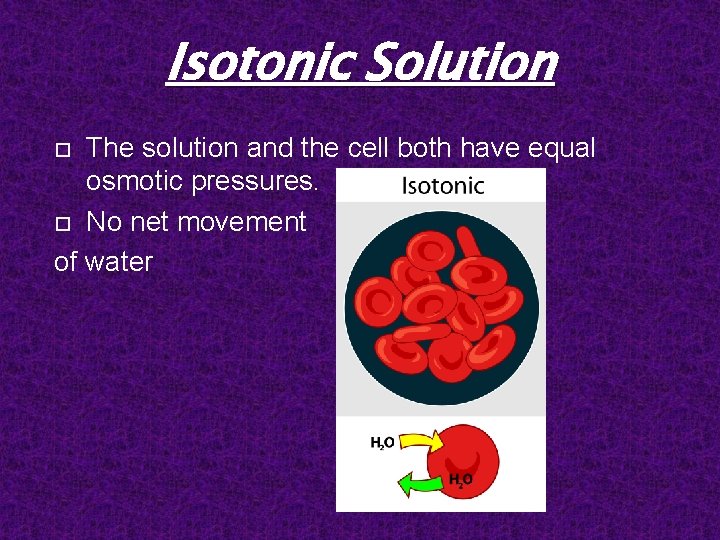 Isotonic Solution The solution and the cell both have equal osmotic pressures. No net