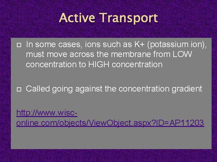 Active Transport In some cases, ions such as K+ (potassium ion), must move across