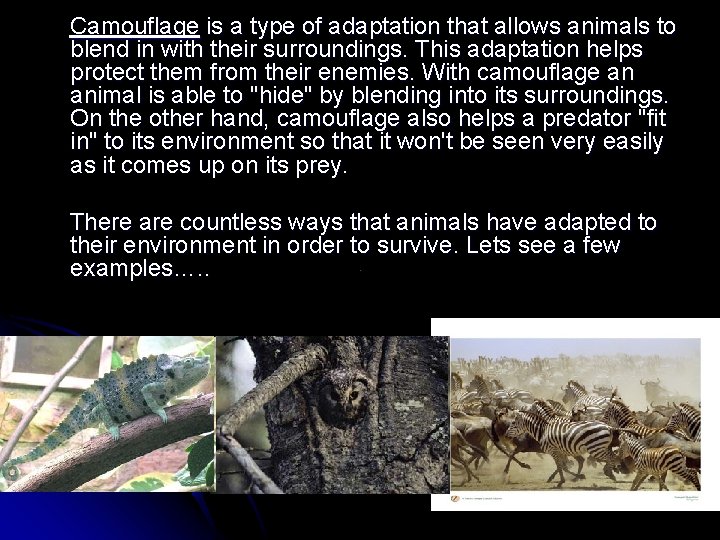 Camouflage is a type of adaptation that allows animals to blend in with their