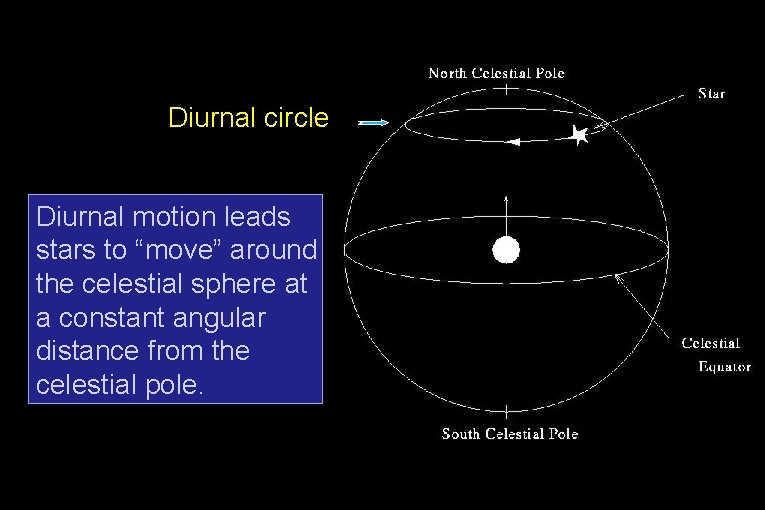 Diurnal circle Diurnal motion leads stars to “move” around the celestial sphere at a