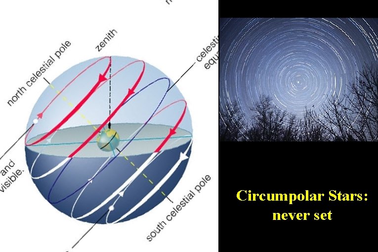 Circumpolar Stars: never set 