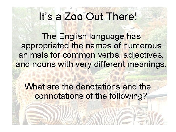 It’s a Zoo Out There! The English language has appropriated the names of numerous