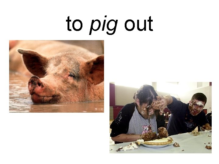 to pig out 