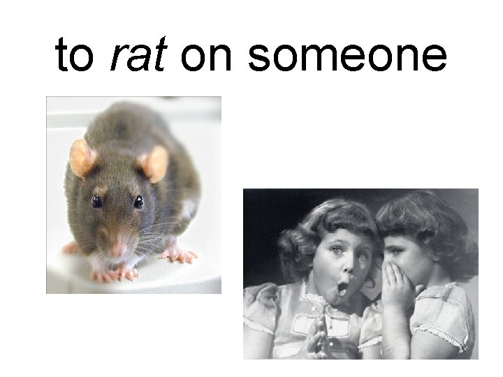 to rat on someone 