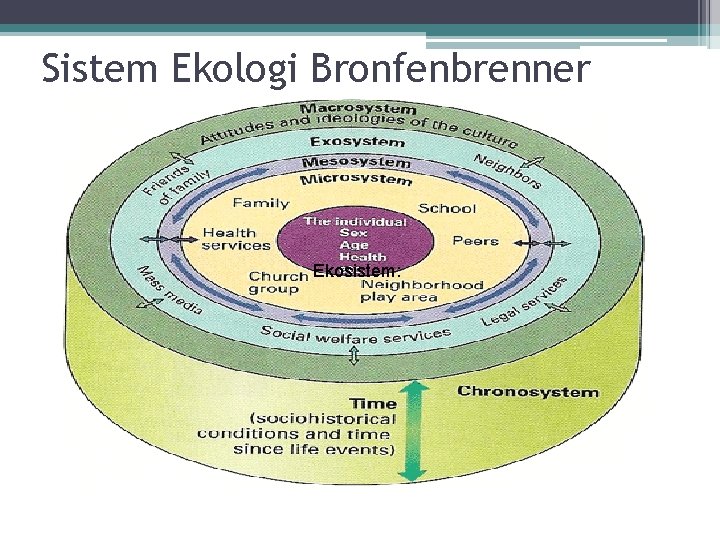 Sistem Ekologi Bronfenbrenner Ekosistem: 