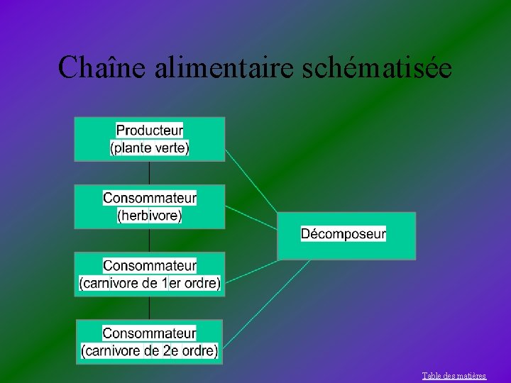 Chaîne alimentaire schématisée Table des matières 