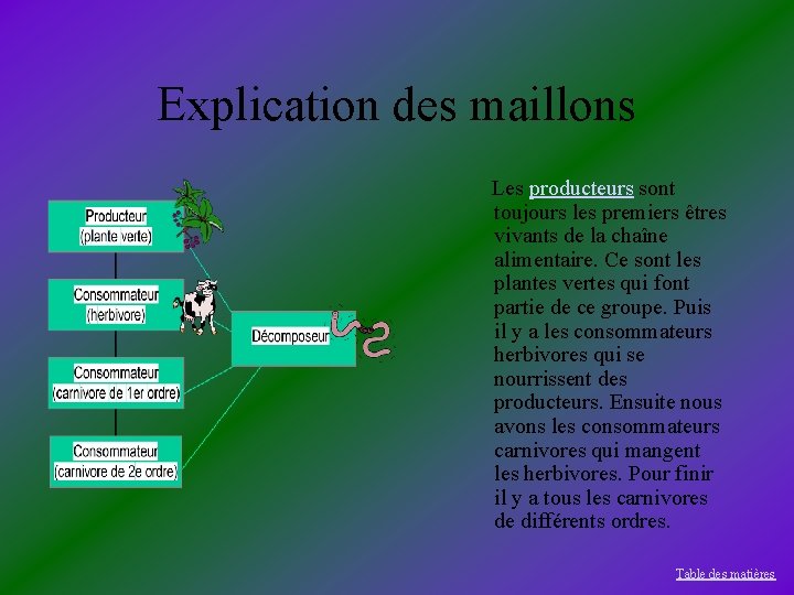 Explication des maillons Les producteurs sont toujours les premiers êtres vivants de la chaîne