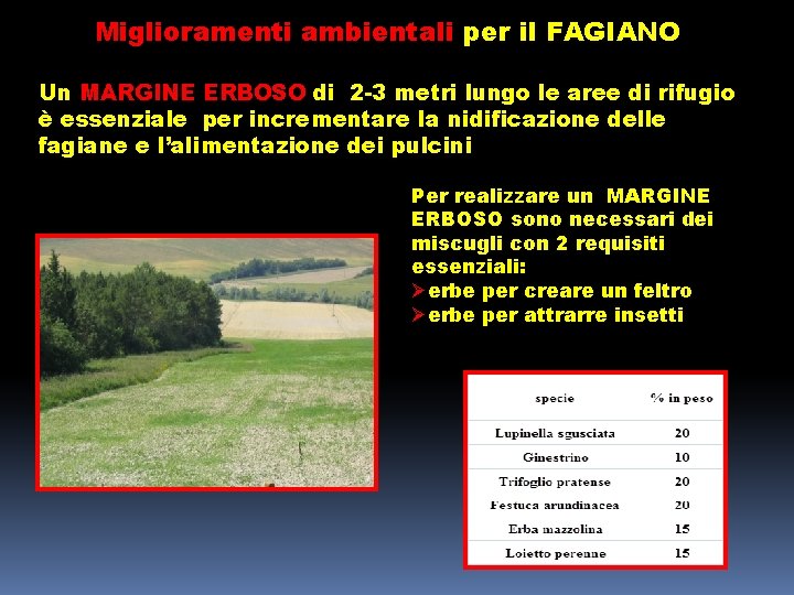 Miglioramenti ambientali per il FAGIANO Un MARGINE ERBOSO di 2 -3 metri lungo le