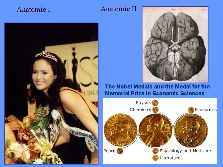 Anatomie I Anatomie II The Nobel Medals and the Medal for the Memorial Prize