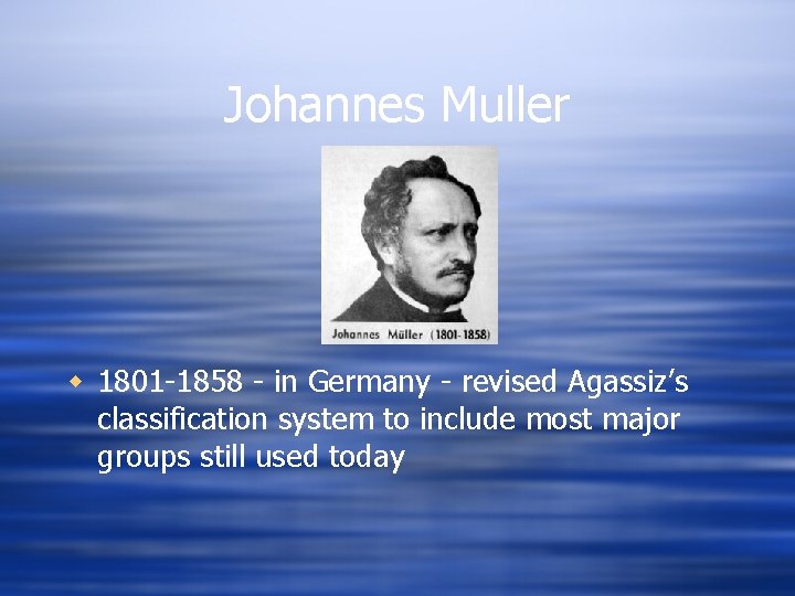 Johannes Muller w 1801 -1858 - in Germany - revised Agassiz’s classification system to