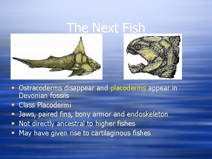 The Next Fish w Ostracoderms disappear and placoderms appear in Devonian fossils w Class