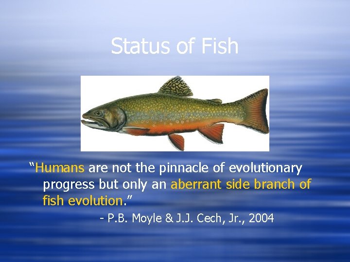 Status of Fish “Humans are not the pinnacle of evolutionary progress but only an