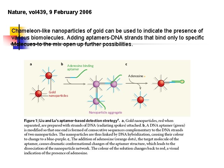 Nature, vol 439, 9 February 2006 Chameleon-like nanoparticles of gold can be used to