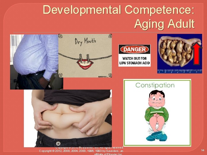 Developmental Competence: Aging Adult Copyright © 2016 by Elsevier, Inc. All rights reserved. Copyright