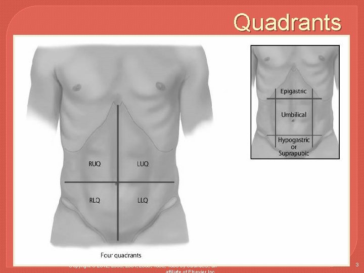 Quadrants Copyright © 2016 by Elsevier, Inc. All rights reserved. Copyright © 2012, 2008,