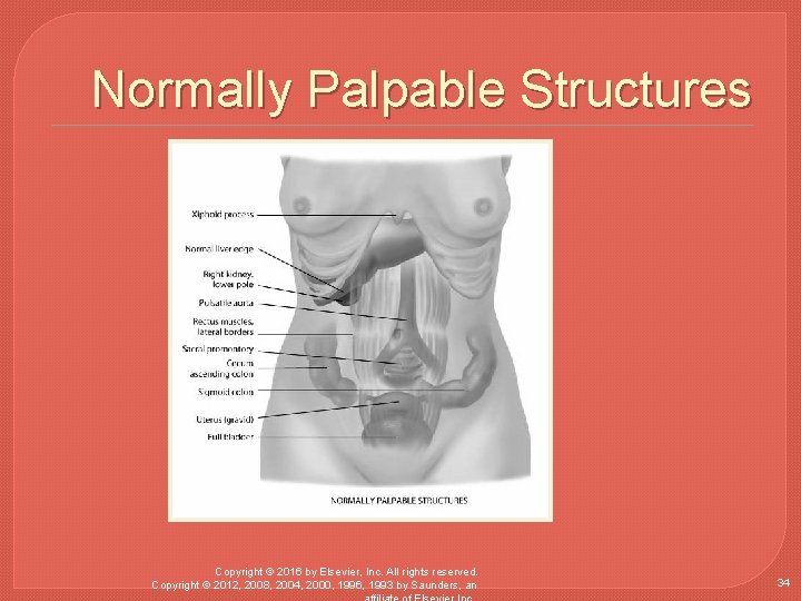 Normally Palpable Structures Copyright © 2016 by Elsevier, Inc. All rights reserved. Copyright ©