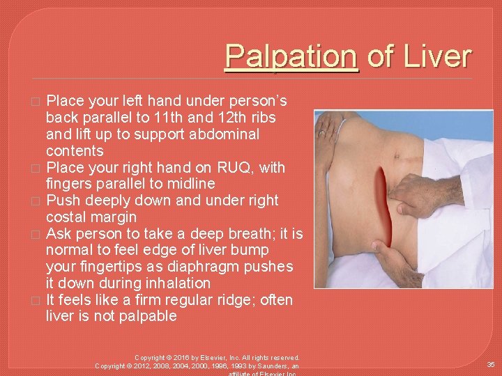 Palpation of Liver � � � Place your left hand under person’s back parallel