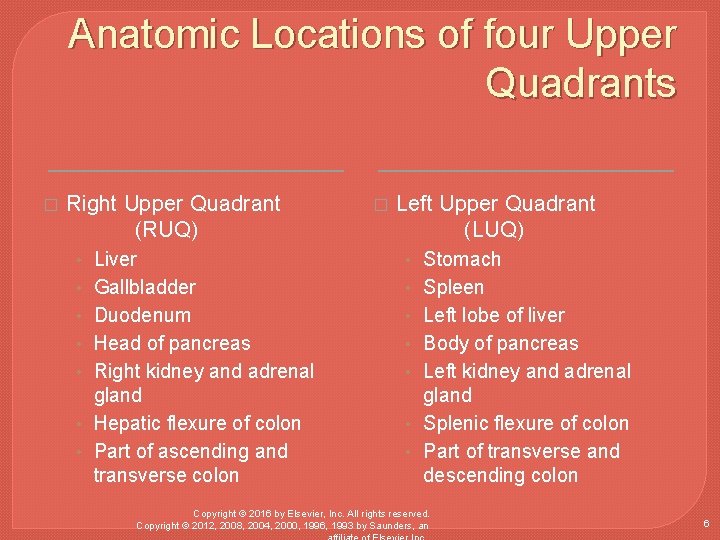 Anatomic Locations of four Upper Quadrants � Right Upper Quadrant (RUQ) � Left Upper