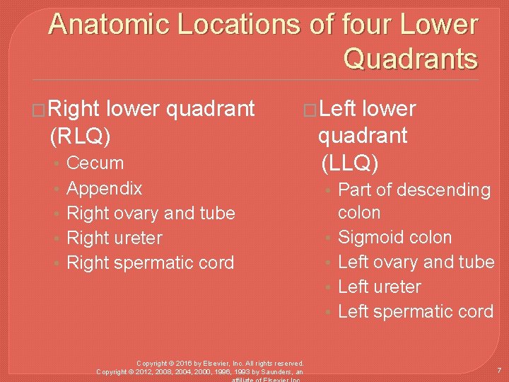 Anatomic Locations of four Lower Quadrants �Right lower quadrant (RLQ) • • • �Left