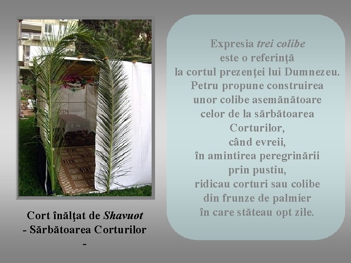 Cort înălţat de Shavuot - Sărbătoarea Corturilor - Expresia trei colibe este o referinţă