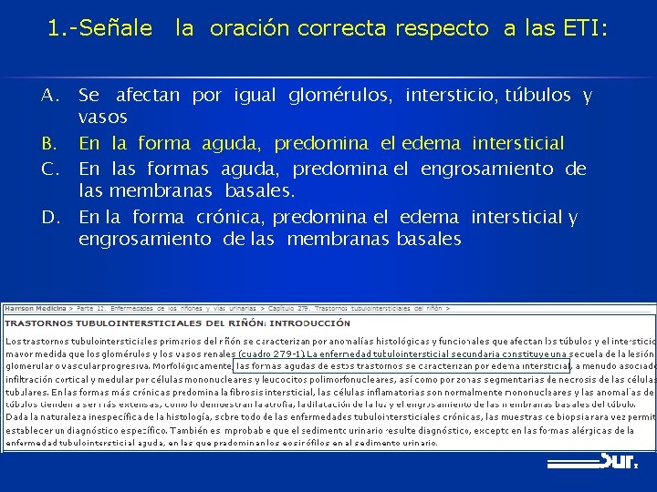 1. -Señale la oración correcta respecto a las ETI: A. Se afectan por igual