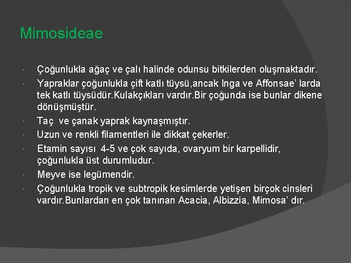 Mimosideae Çoğunlukla ağaç ve çalı halinde odunsu bitkilerden oluşmaktadır. Yapraklar çoğunlukla çift katlı tüysü,
