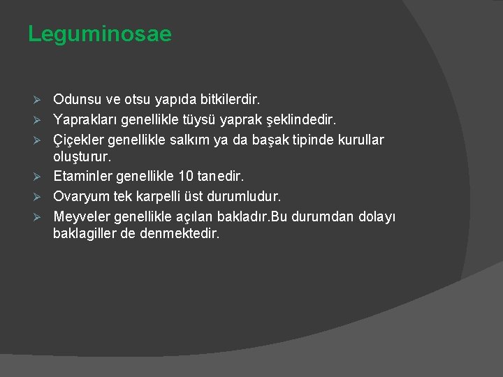 Leguminosae Ø Ø Ø Odunsu ve otsu yapıda bitkilerdir. Yaprakları genellikle tüysü yaprak şeklindedir.