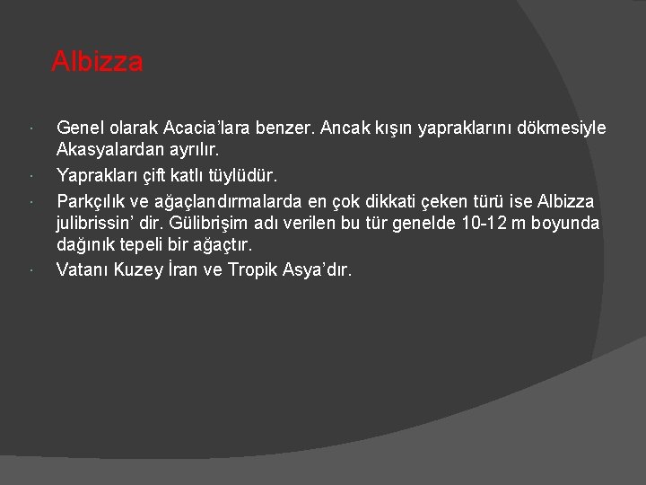  Albizza Genel olarak Acacia’lara benzer. Ancak kışın yapraklarını dökmesiyle Akasyalardan ayrılır. Yaprakları çift