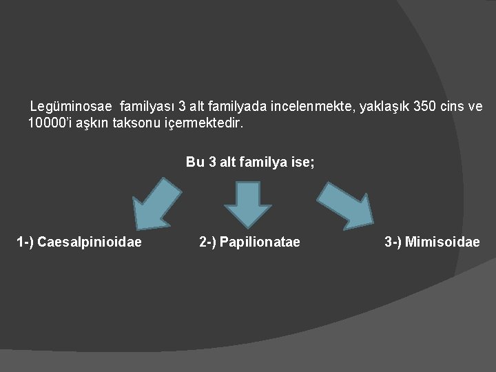  Legüminosae familyası 3 alt familyada incelenmekte, yaklaşık 350 cins ve 10000’i aşkın taksonu