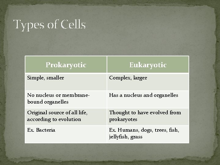 Types of Cells Prokaryotic Eukaryotic Simple, smaller Complex, larger No nucleus or membranebound organelles
