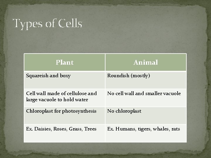 Types of Cells Plant Animal Squareish and boxy Roundish (mostly) Cell wall made of