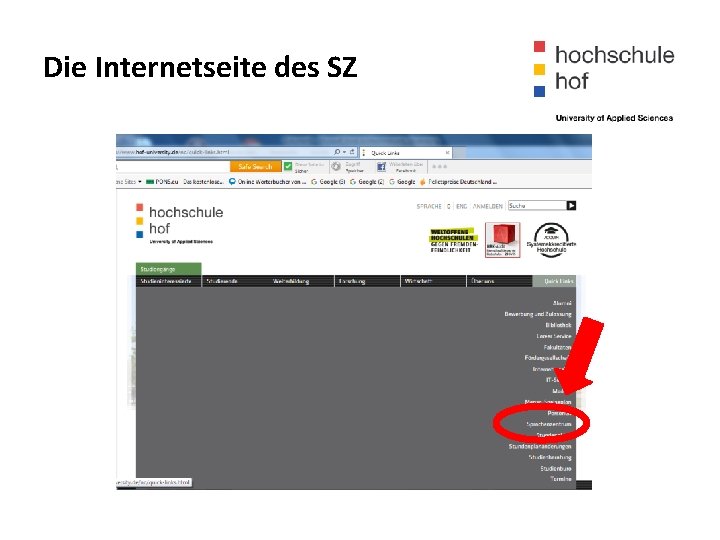 Die Internetseite des SZ 