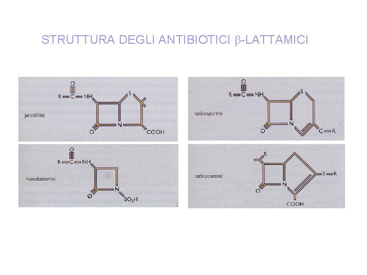 STRUTTURA DEGLI ANTIBIOTICI -LATTAMICI 